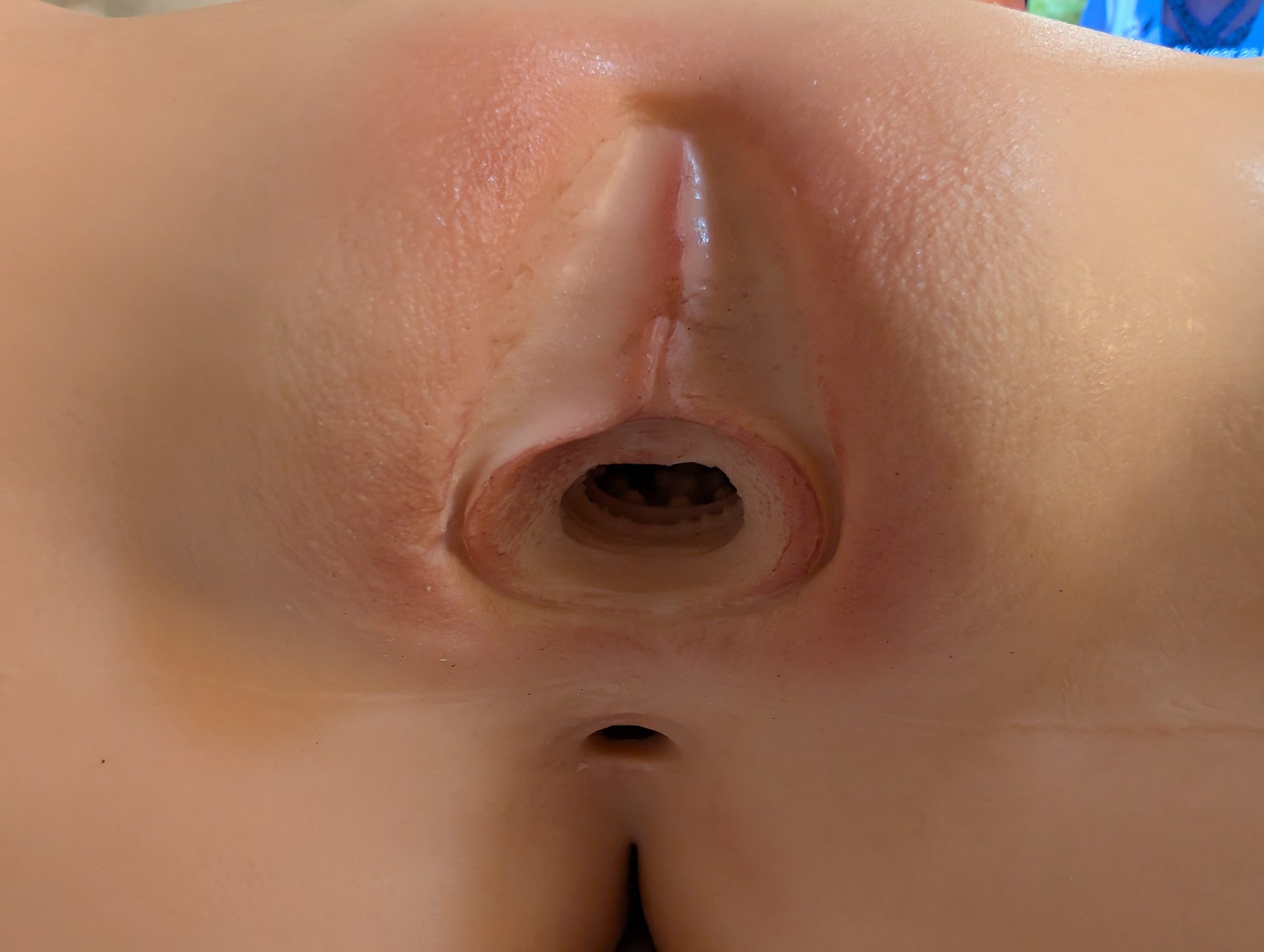 PXL_20260708_035829807.jpg