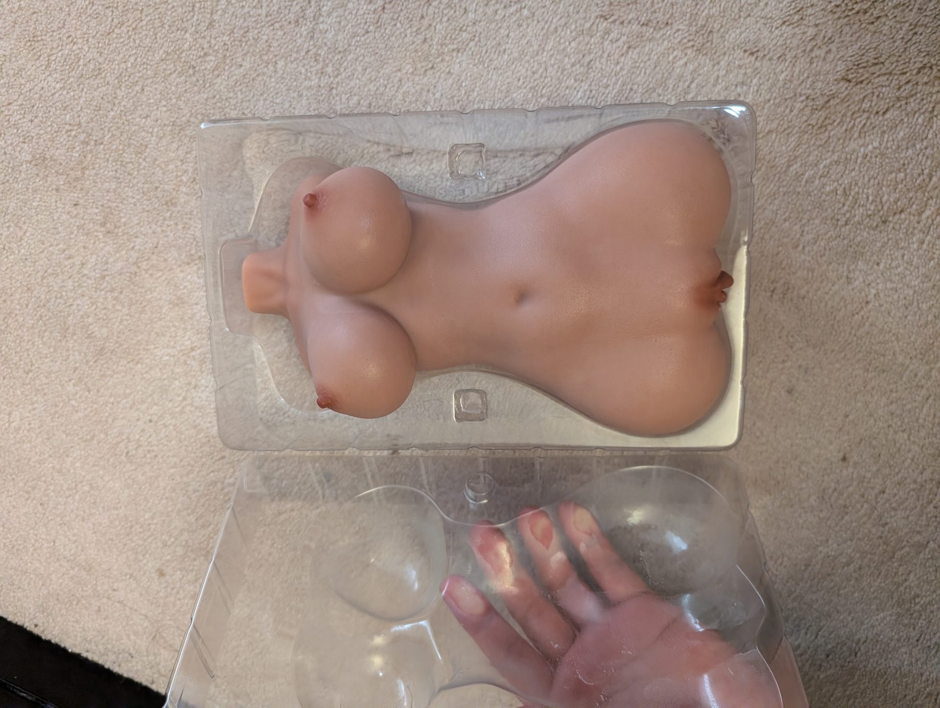 PXL_20260828_184938735.jpg