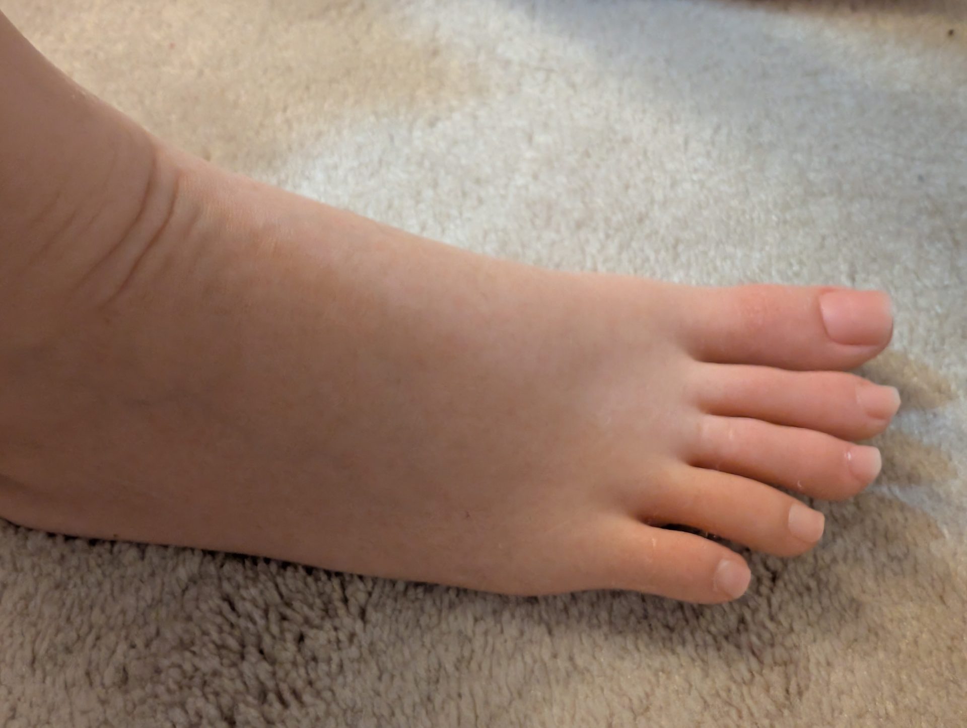 PXL_20260826_053218179.jpg