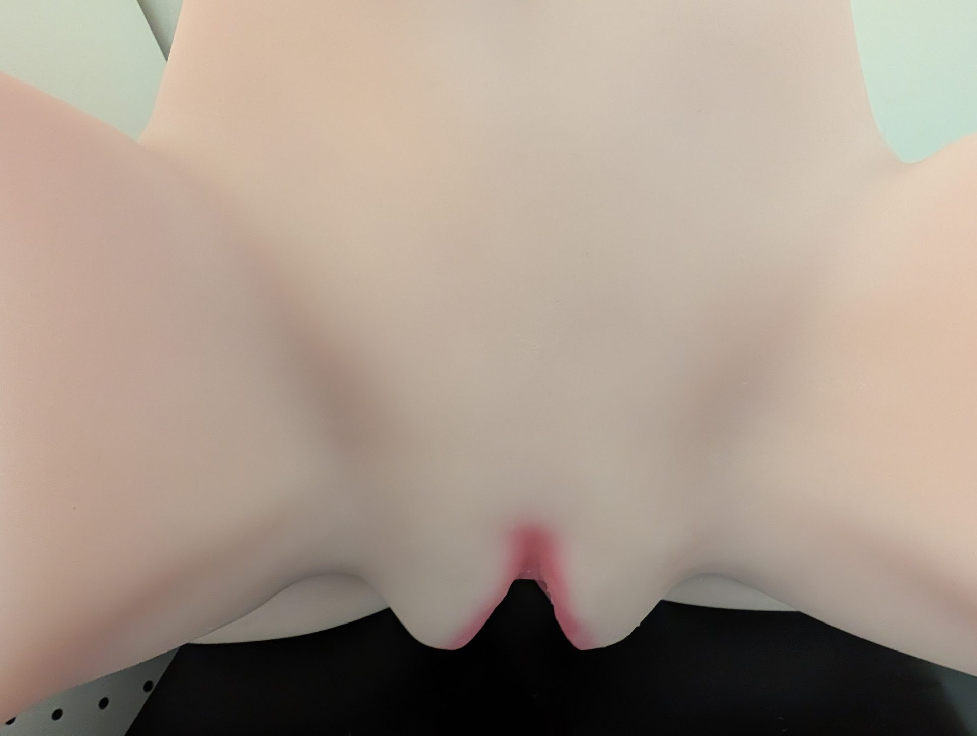 PXL_20260224_234904460.jpg